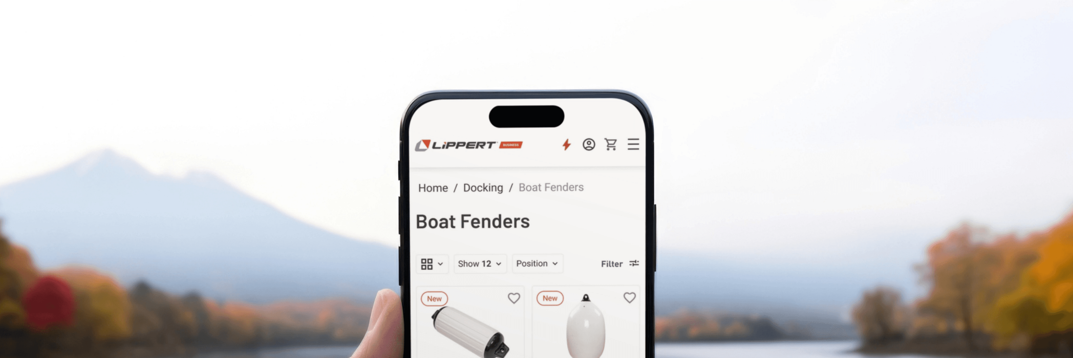 Lippert B2B