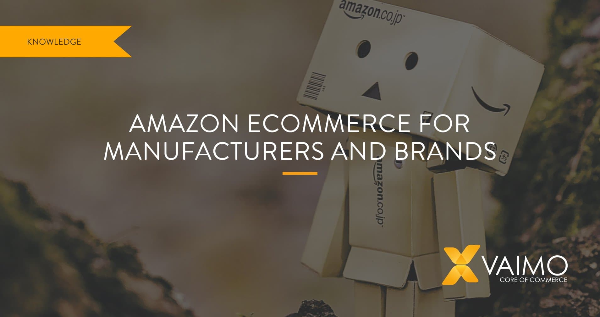Amazon Ecommerce Brands Manufacturers - Featured Image